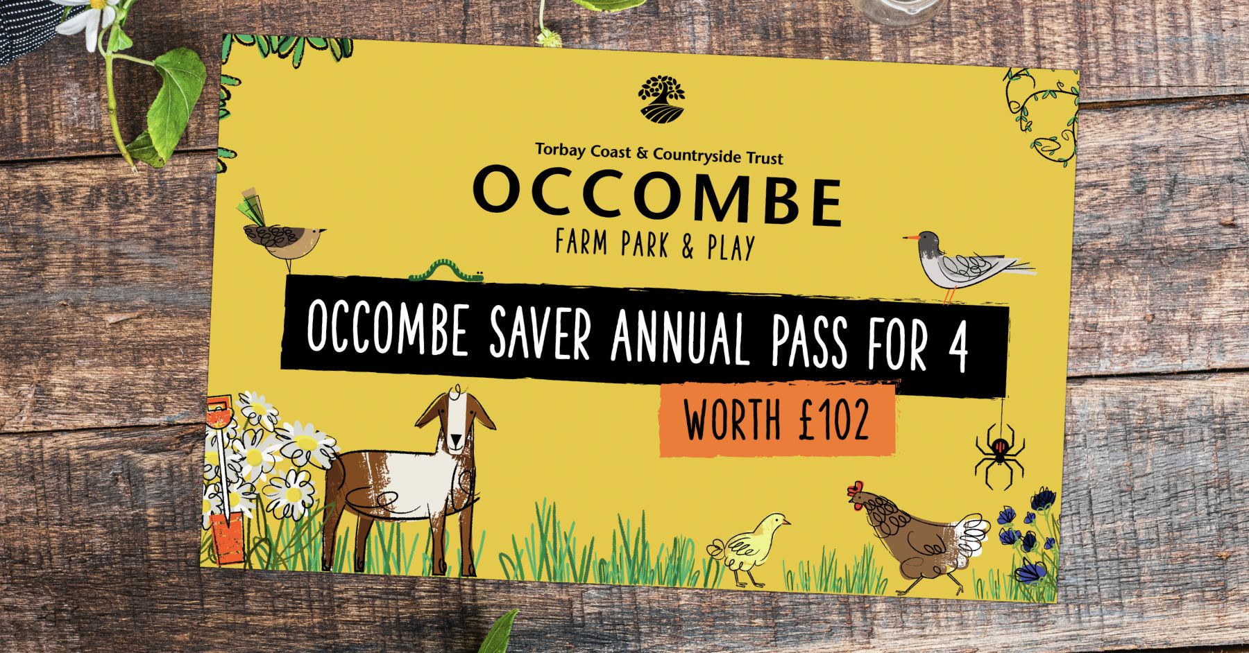 Occombe Farm Occombe Farm