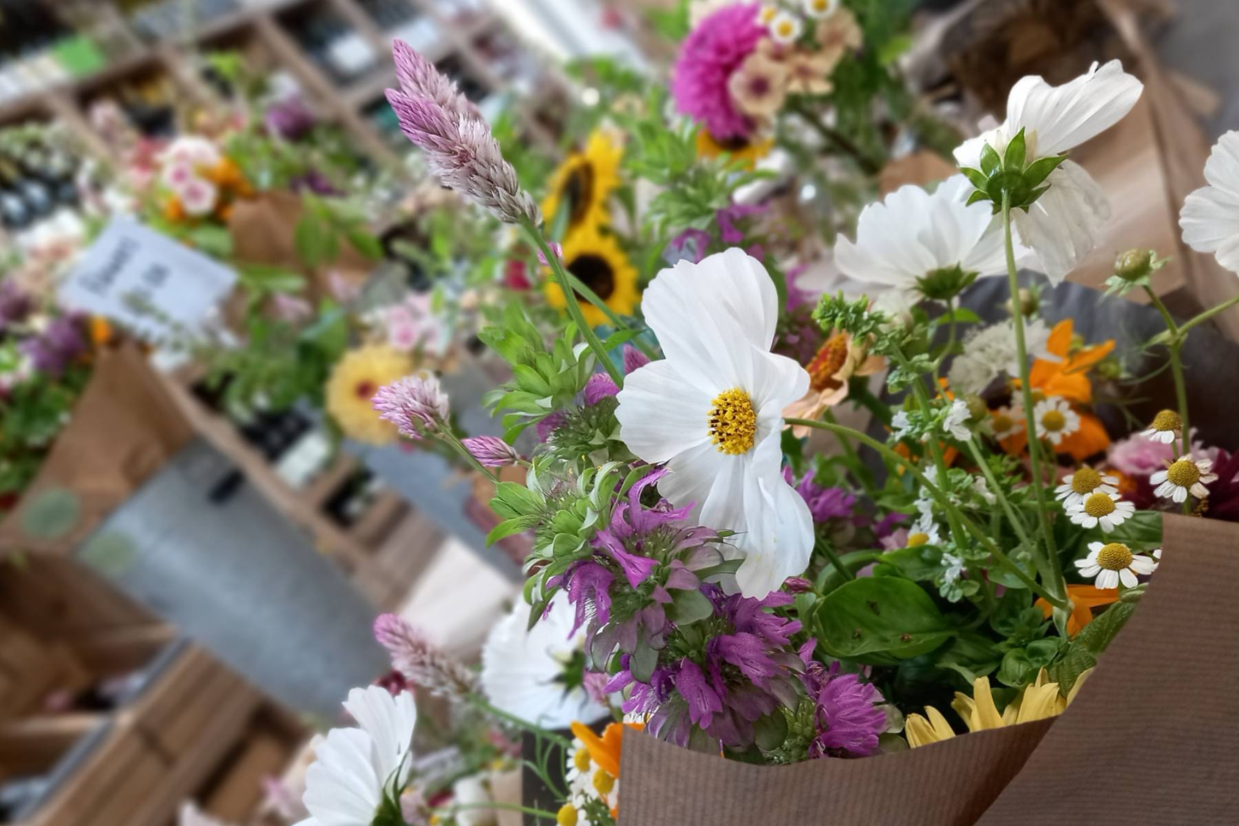 Occombe Farm Shop